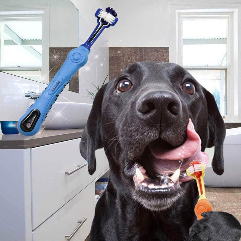 Orgrimmar 2 Pcs Three Sided Pet Toothbrush Dog Brush Addition Bad Breath Tartar Teeth Care Dog Cat Cleaning Mouth - Image 4